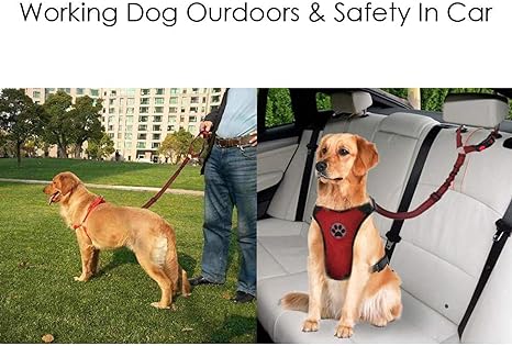 Dog Seat Belt Harness Dog Cat Leads Car Seat Belt Vehicle-upgrade elastic